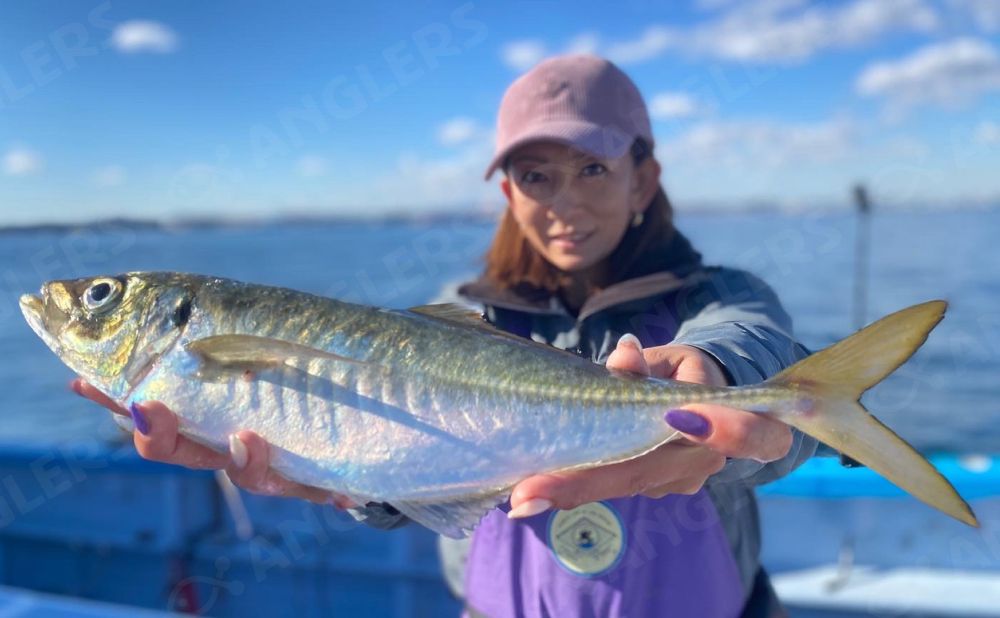【午後乗合】オキアミ五目釣りプラン