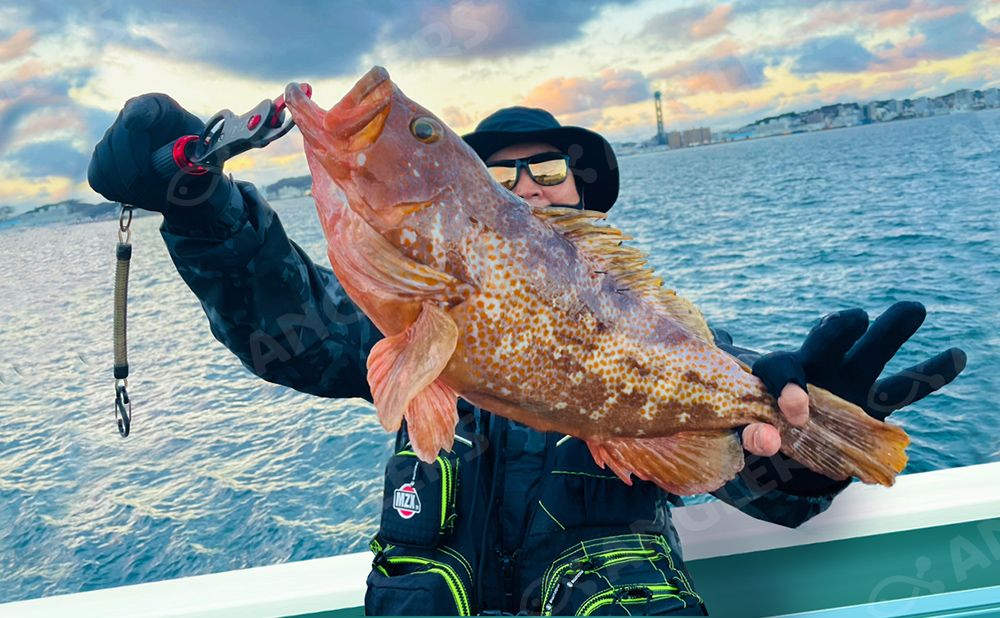 【仕立て】ジギング／タイラバ／SLJ