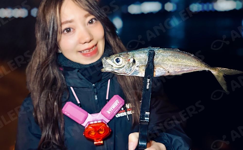 【仕立て】湾内ナイトバチコンアジング