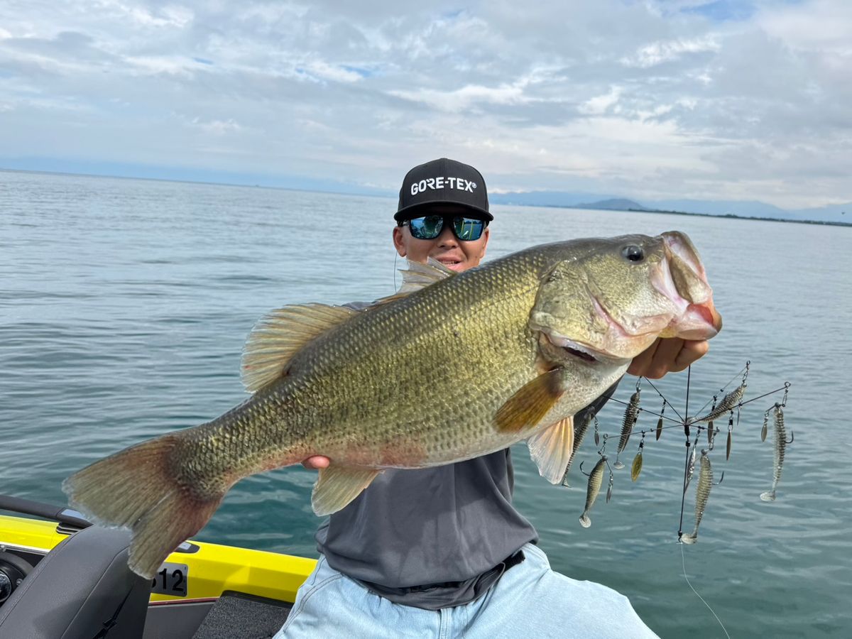 【乗合】琵琶湖1日ガイドプラン