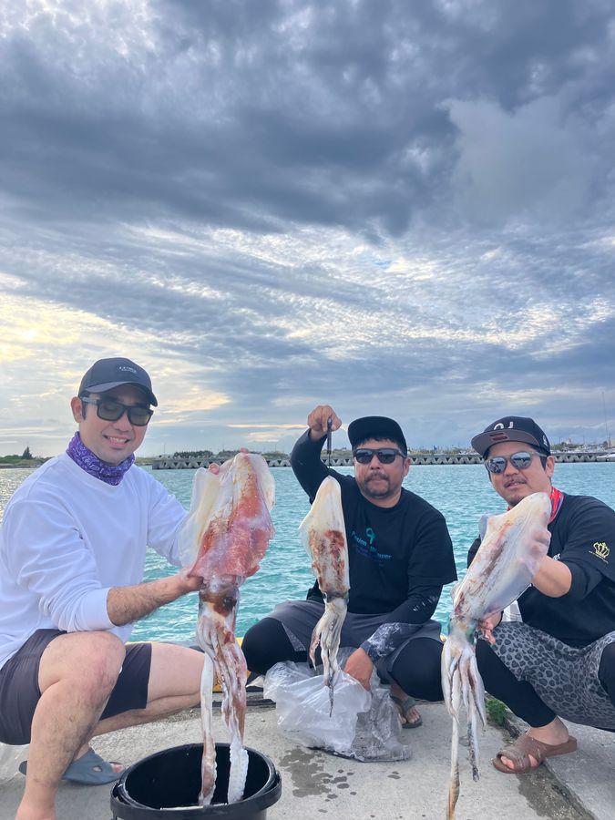 ティップラン1日チャーター(12月~5月)