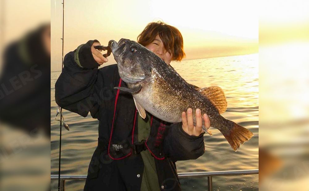 【乗合】ロックフィッシュ便