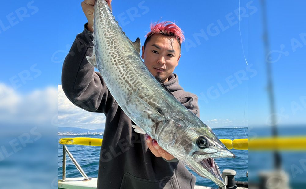 【仕立】ジギング