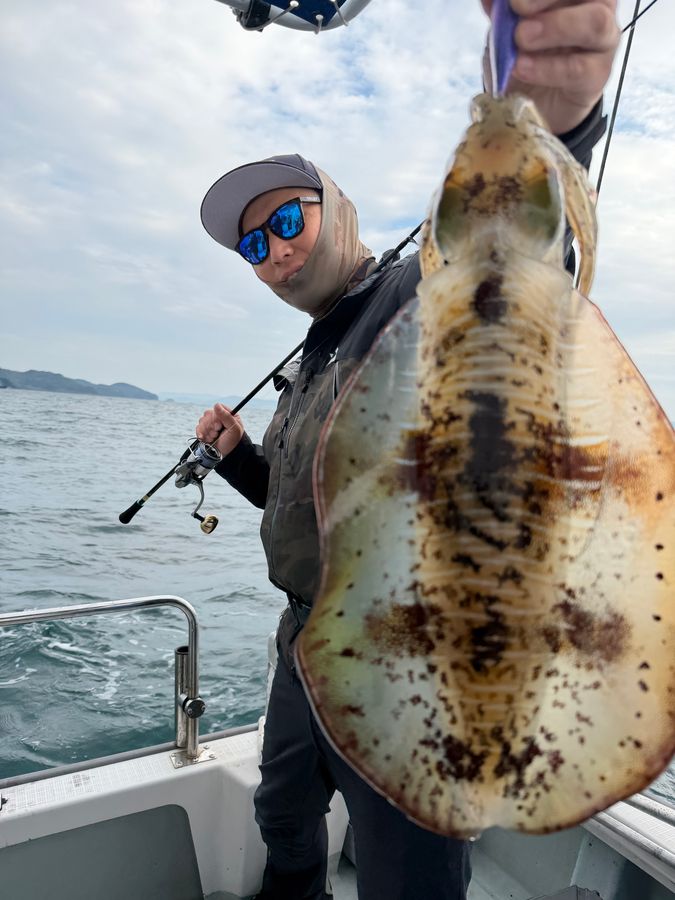 【乗合】ティップラン