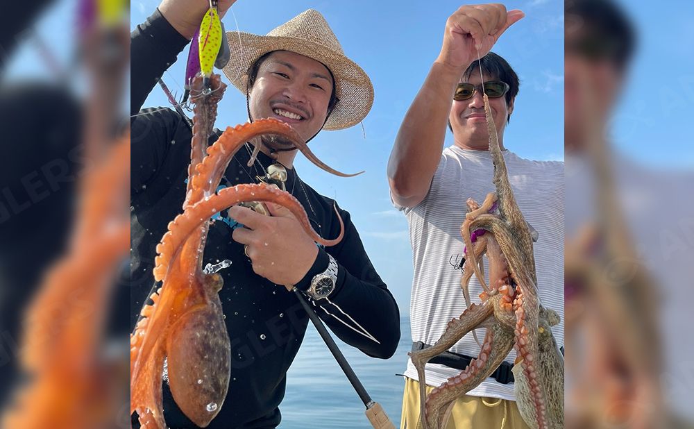 【土日祝貸切（仕立て）】マダコ釣りプラン