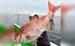 【土日祝】マダイ釣り　仕立て（貸切）　大型を狙おう！