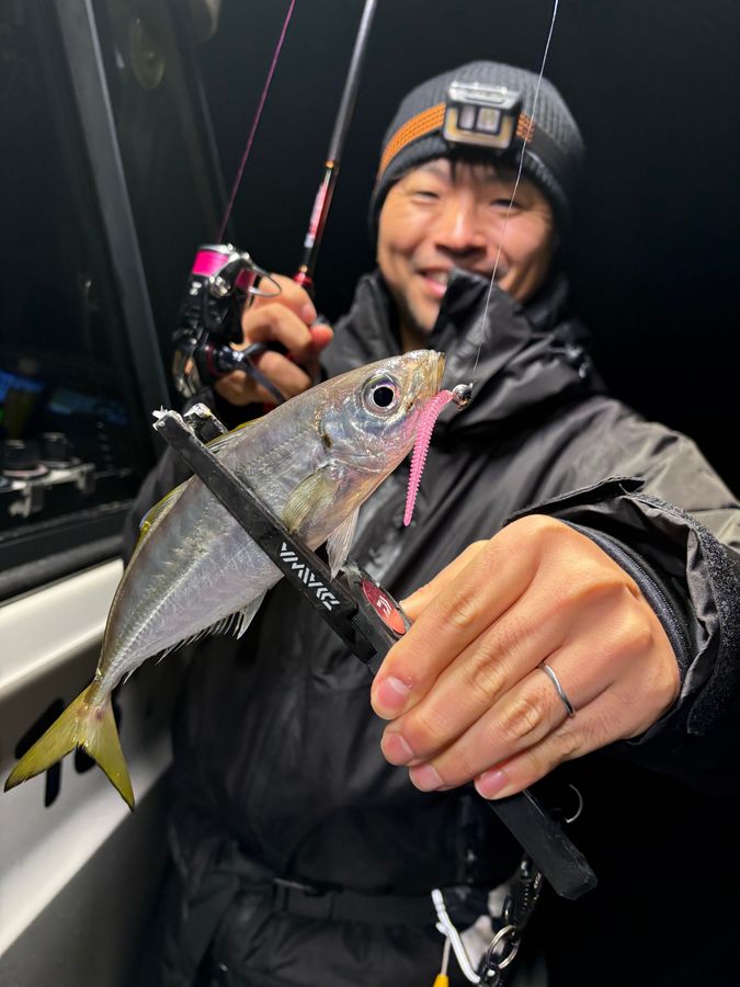 【チャーター】ナイトアジング