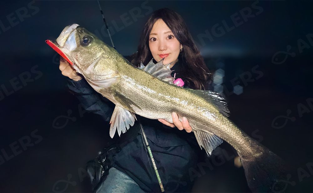 (夜間)自由に組立て ボートチャーター便