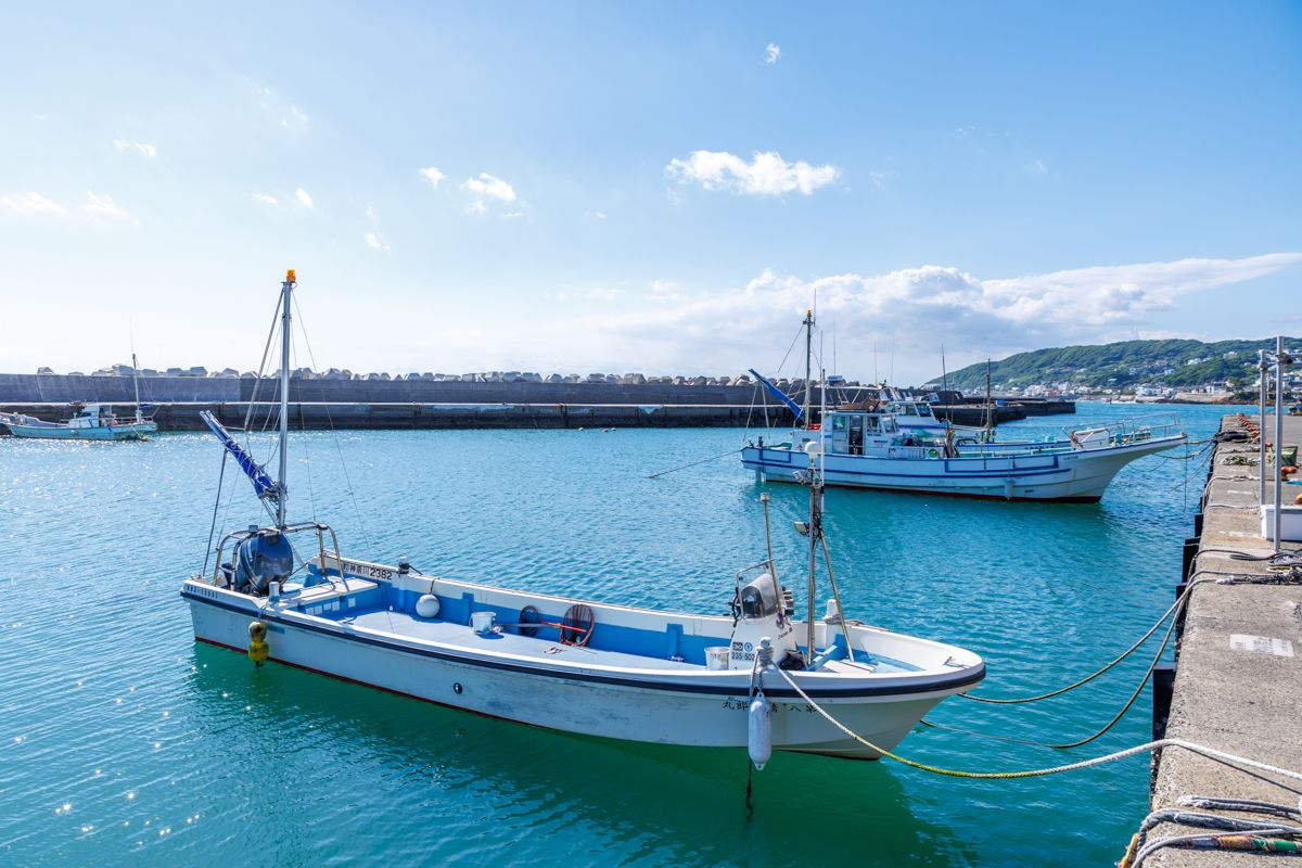 清四郎丸／秋谷漁港】船釣りプラン・料金一覧 - アングラーズ釣船予約