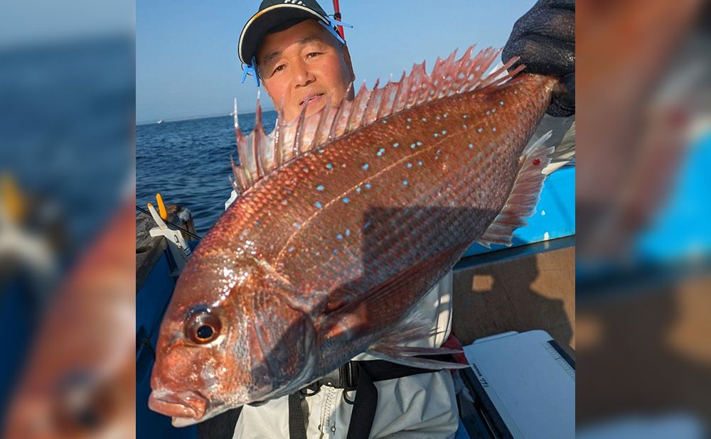 【午前】マダイ釣りプラン