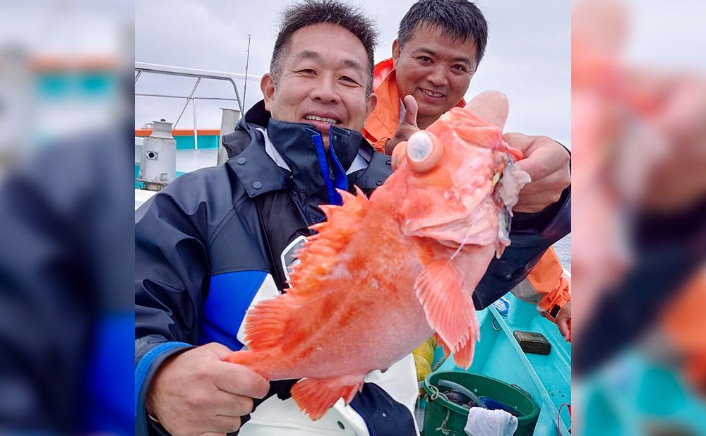 メヌケ釣り初めての方におすすめ！ライトメヌケ（アコウダイ）プラン