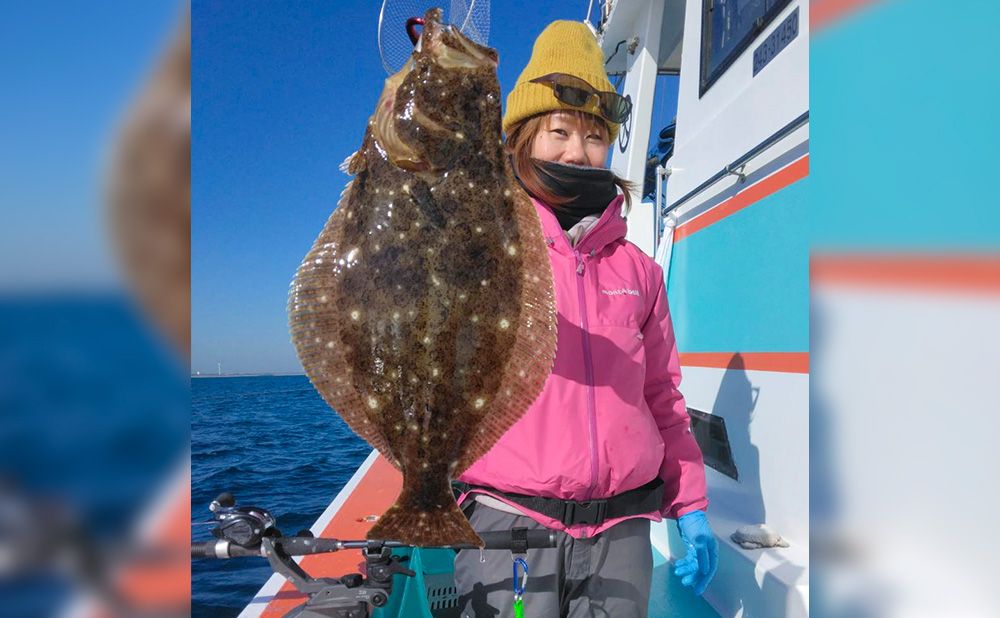 ヒラメ 活きエサ泳がせ釣りプラン