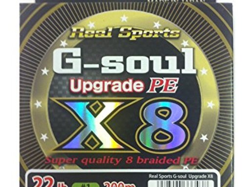 YGKよつあみ G-soul X8 UPGRADE 1号/22lb