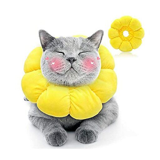 デュオ バーニー かめやオリカラ クラッシュアイス