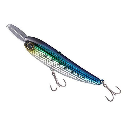 ジャッカル ライザーベイト008 ナマイワシ