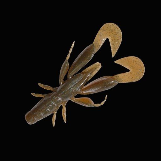 ジャッカル チャンクロー テナガシナモン