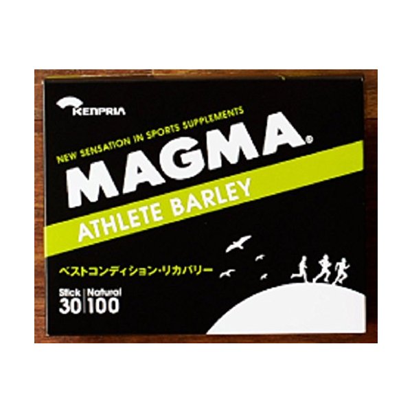 バークレイ MaxScent Magnum Hit Worm 7in