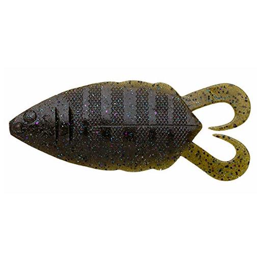 ゲットネット ジャスターフィッシュ4.5    琵琶湖ギル