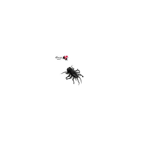 デュオ 忍虫 背赤コケグモ