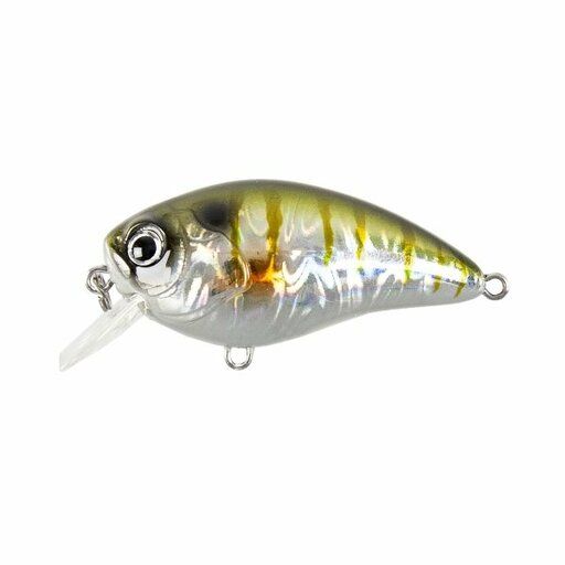 レイドジャパン レベルクランクゴリラー ブルーバックチャート