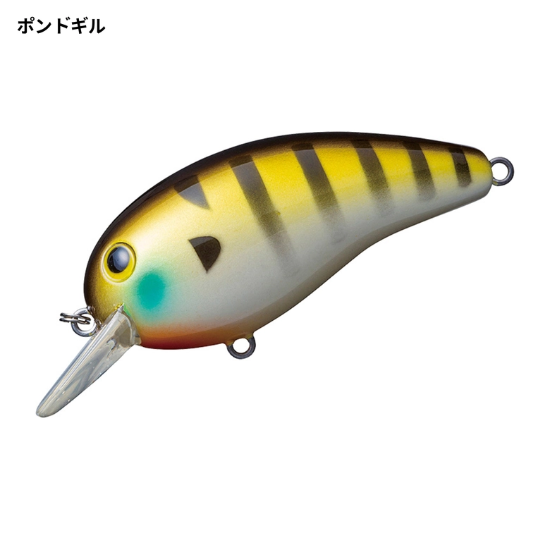 DAIWA デカピーナッツ2 DRの最安値・インプレ・釣果 | 本音の口コミが