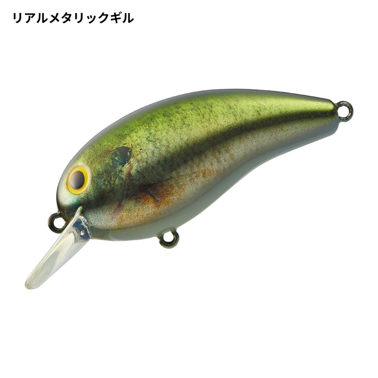 ピーナッツ DAIWA デカピーナッツ2 DRの最安値・インプレ・釣果 | 本音の