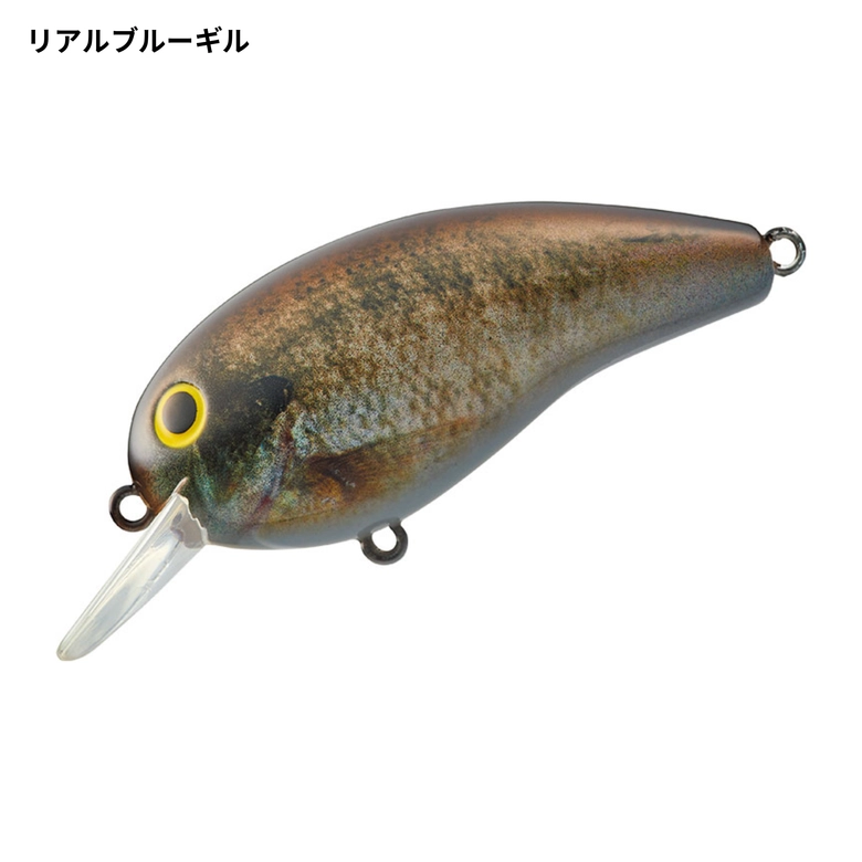 DAIWA デカピーナッツ2 DRの最安値・インプレ・釣果 | 本音の口コミが