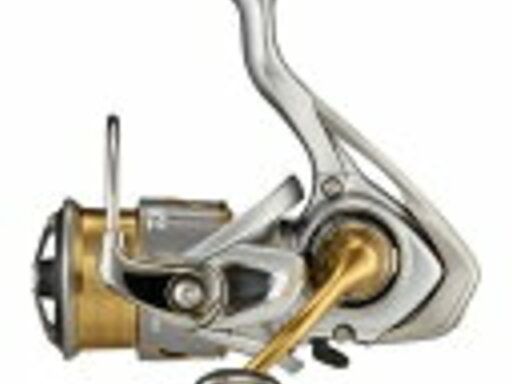 DAIWA 21FREAMS LT1000S