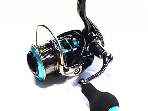 DAIWA EMERALDAS 2508PE-H