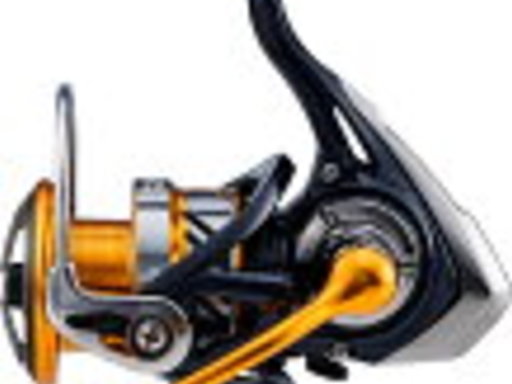 DAIWA REVROS LT 2500D