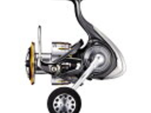 DAIWA CALDIA LT(‘18) 6000D