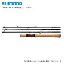シマノ 13バイオマスター SW V2 6000PG