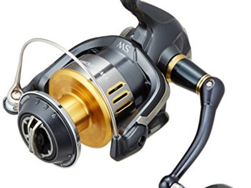 SHIMANO TWIN POWER SW (’15) 8000PG