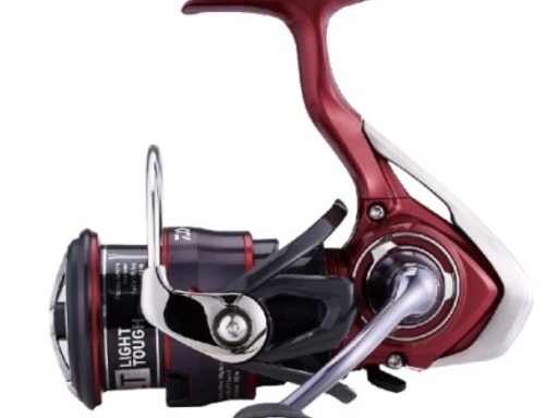 DAIWA FUEGO CS LT ('21) 2500