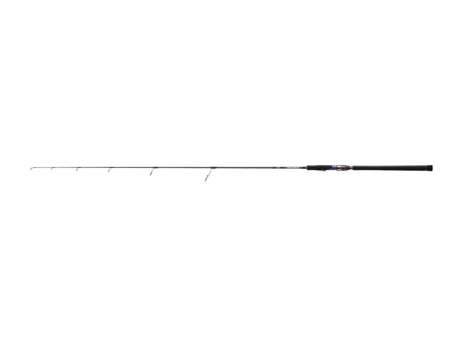 DAIWA SALTIGA R J62S-2 LO