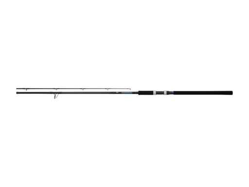 DAIWA SHORE JIGGING X 96MH