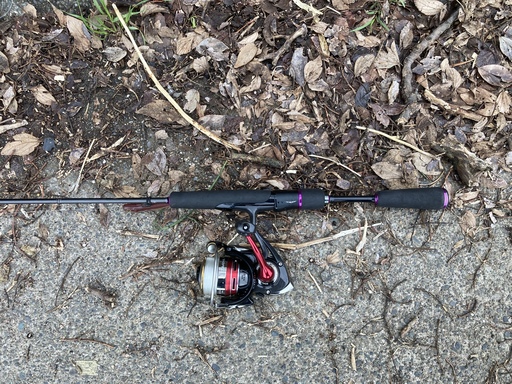 DAIWA STEEZ 631ULLXS-SP レグルス