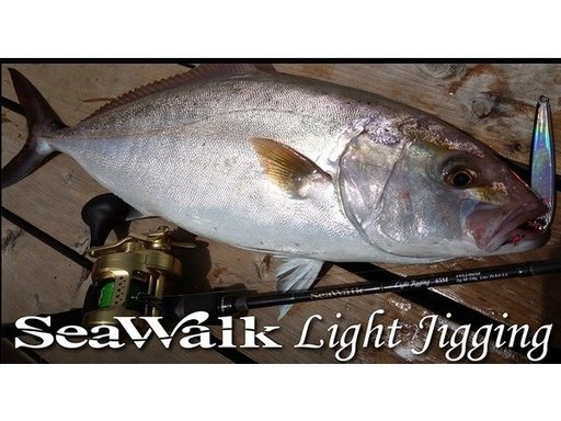 YAMAGA Blanks SeaWalk Light Jigging 64ML
