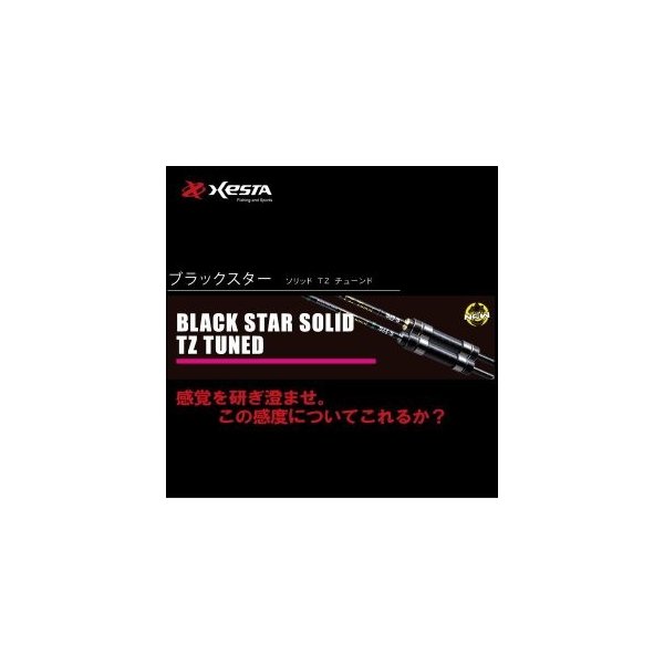 ゼスタ ブラックスター ソリッド S64-S
