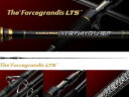 EverGreen HERACLES 66M-LTS フォースグランディスLTS