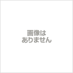 ゴーフィッシュ ザ スポットキング 13.0T