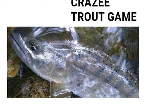 alpha tackle CRAZEE TROUT GAME 532L 532L-69594 トラウトゲーム