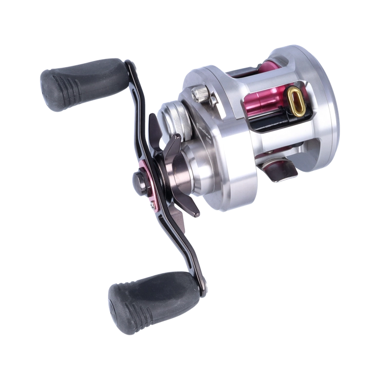 ダイワ DAIWA キャタリナ BJ100P L-RMリール - リール