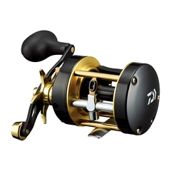 DAIWA 14サーフベーシア 45 06PEの最安値・インプレ・釣果 DAIWA 14サーフベーシア 45 06PEの最安値・インプレ・釣果