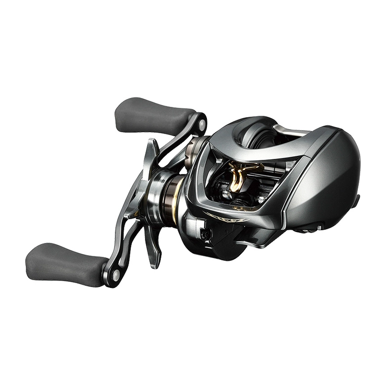 DAIWA19 スティーズ　CT SV 700XHL 8.1:1