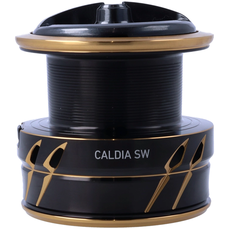 DAIWA 22カルディア SW 6000S-Hの最安値・インプレ・釣果 | 本音の 