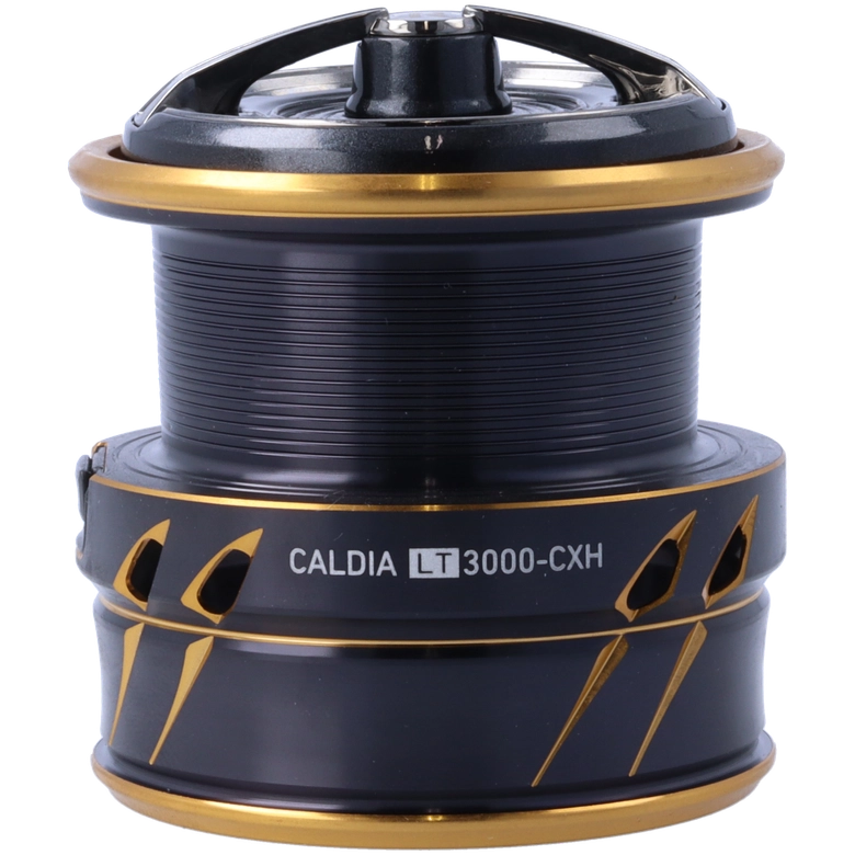 DAIWA 21カルディア LT3000-CXHの最安値・インプレ・釣果 | 本音の 