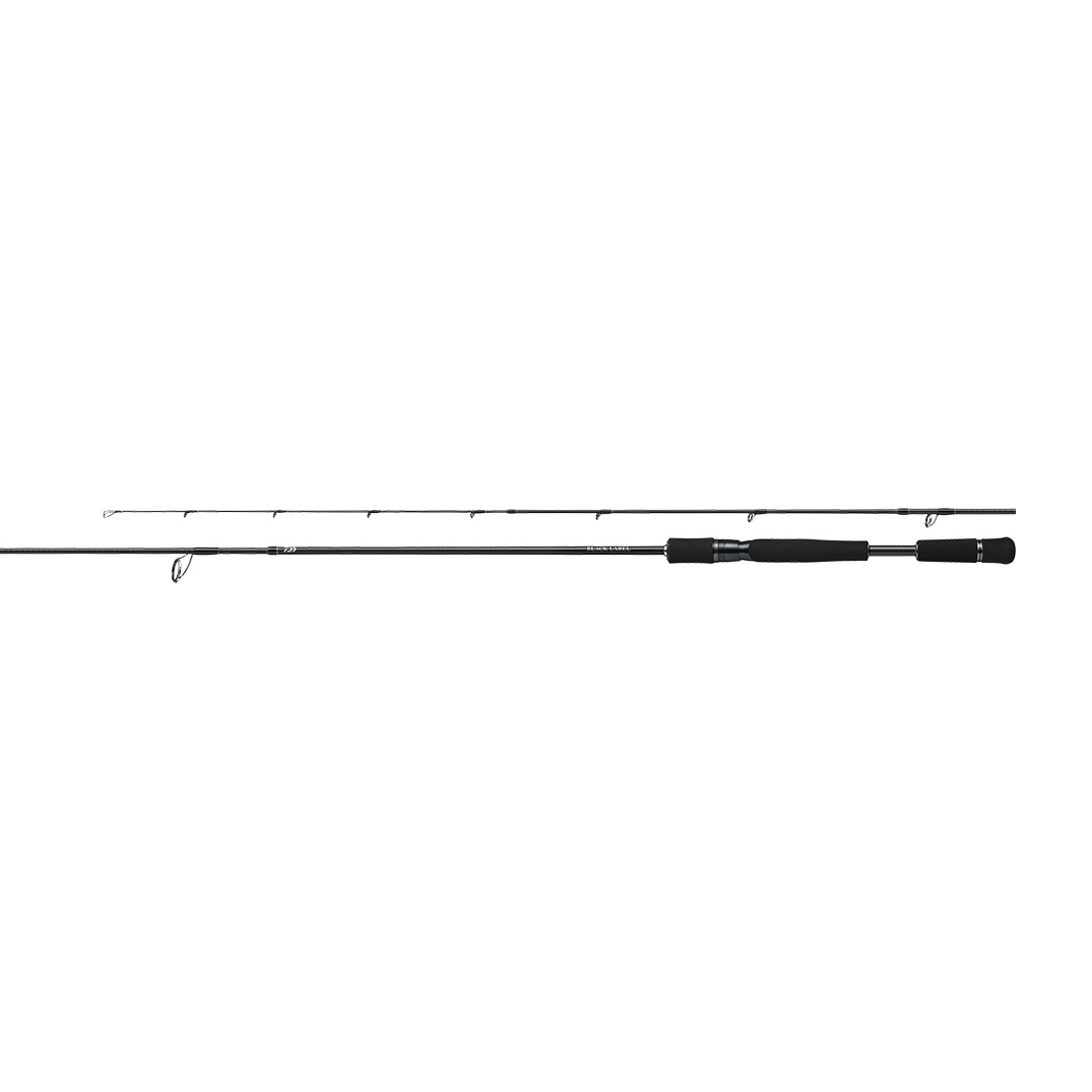 Daiwa 21 Black Label Travel S66L-5