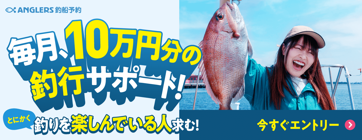 アンバサダー